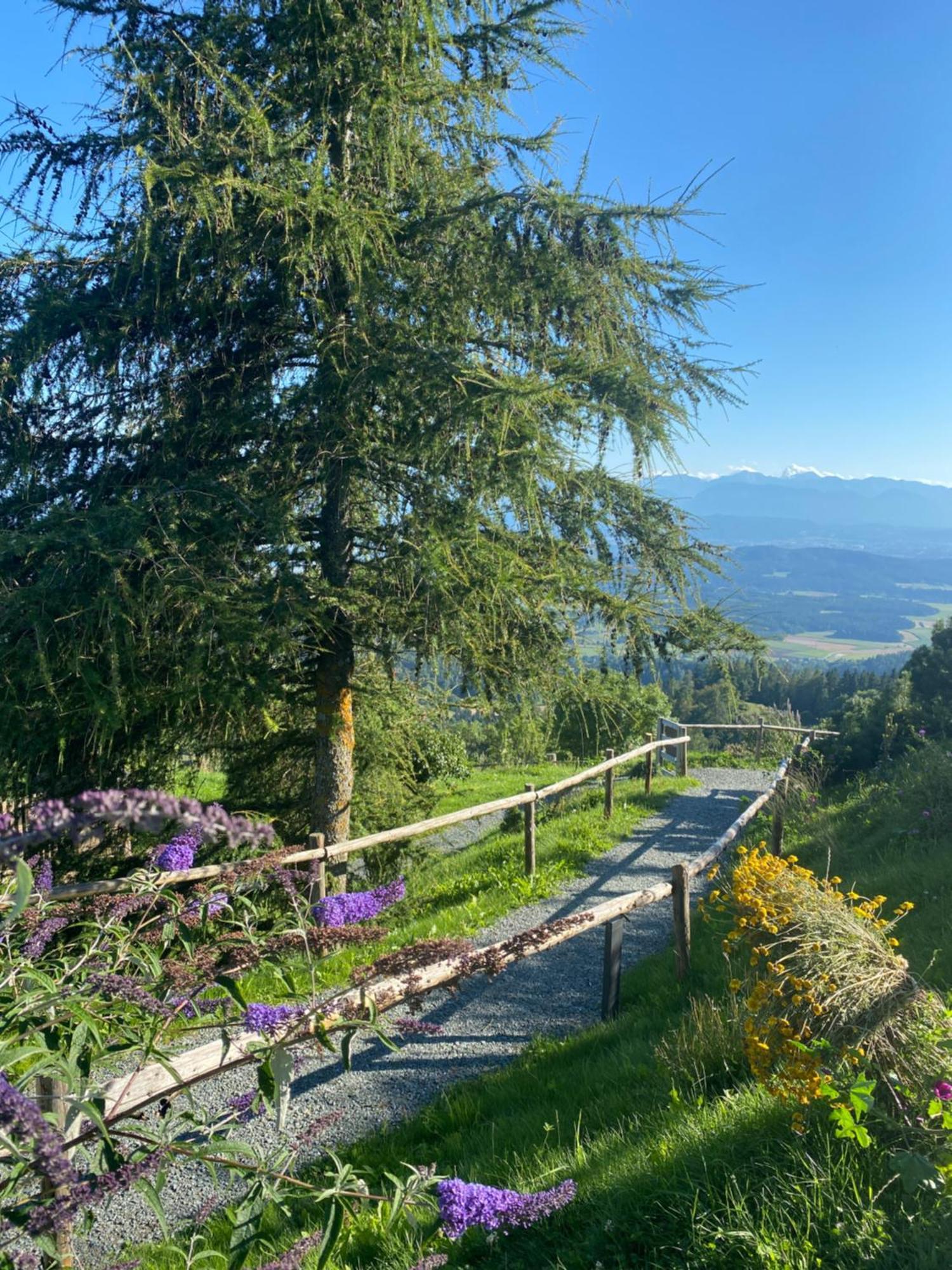 Gipfelhaus Magdalensberg Hotel Sankt Veit an der Glan-i járás Kültér fotó